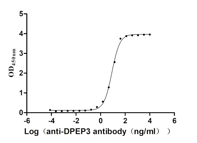 DPEP3 Antibody in ELISA (ELISA)