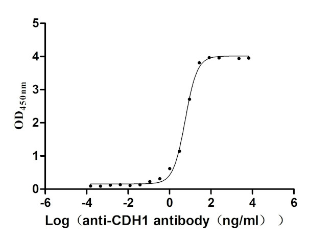 E-cadherin Antibody in ELISA (ELISA)
