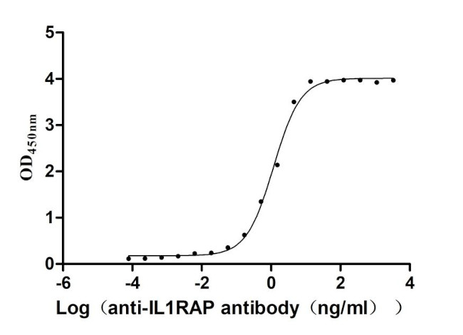 IL-1RAcP Antibody in ELISA (ELISA)