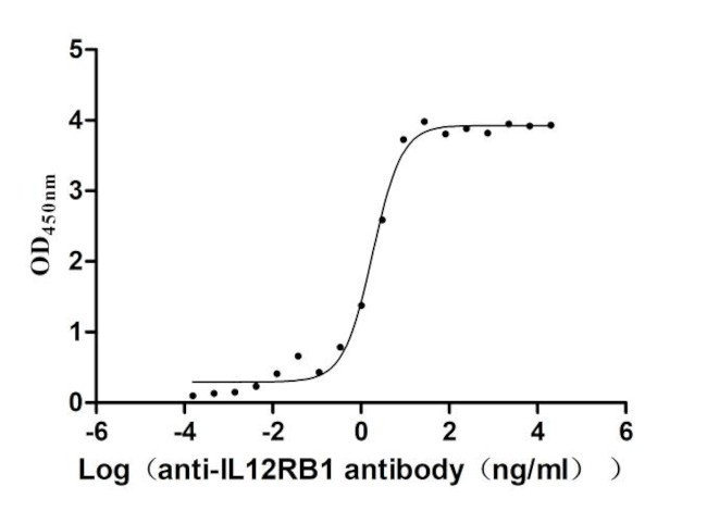 IL12RB1 Antibody in ELISA (ELISA)