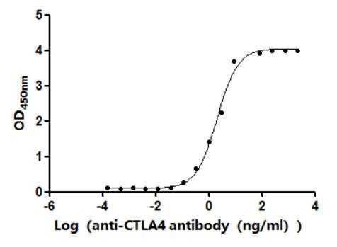 CTLA-4 Antibody in ELISA (ELISA)