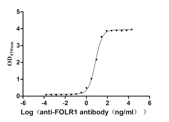 Folate Receptor alpha Antibody in ELISA (ELISA)