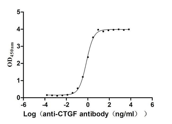 CTGF Antibody in ELISA (ELISA)