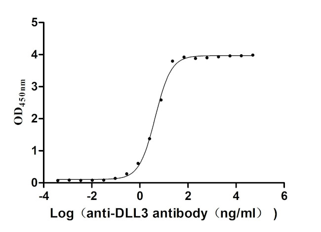 IL2RG Antibody in ELISA (ELISA)