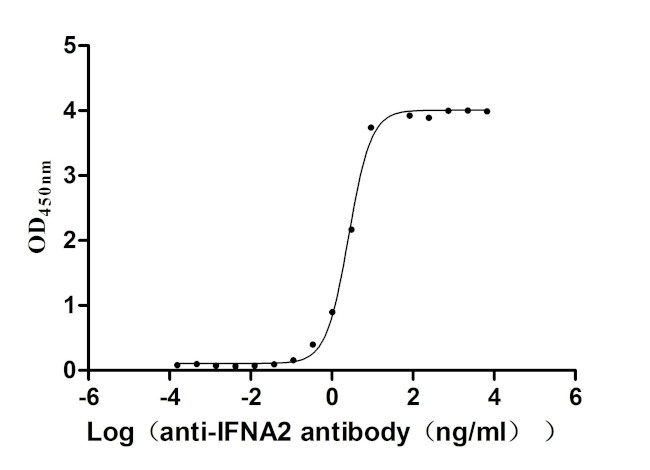 Interferon alpha-2 Antibody in ELISA (ELISA)