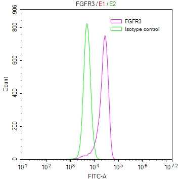 FGFR3 Antibody in Flow Cytometry (Flow)