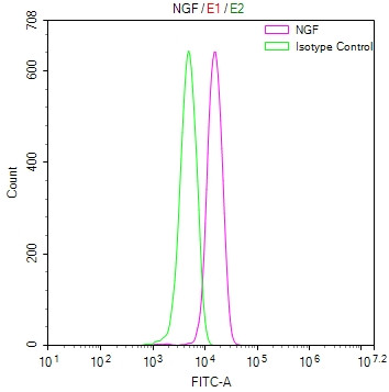 NGF Antibody in Flow Cytometry (Flow)