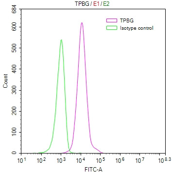 5T4 Antibody in Flow Cytometry (Flow)