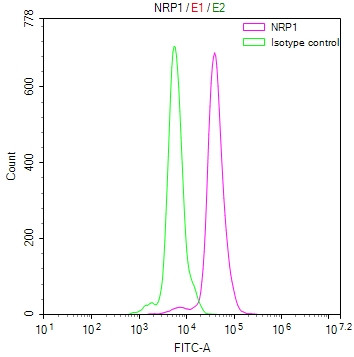 Neuropilin 1 Antibody in Flow Cytometry (Flow)