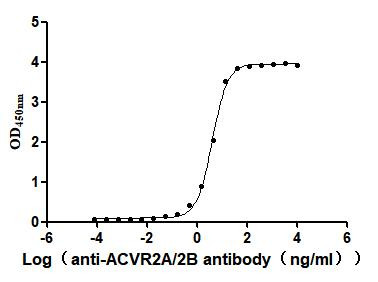ACVR2B Antibody in ELISA (ELISA)