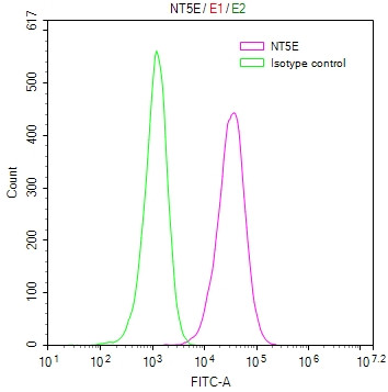 CD73 Antibody in Flow Cytometry (Flow)
