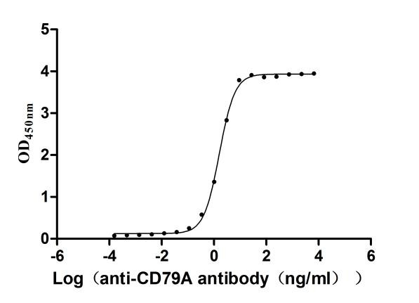 CD79a Antibody in ELISA (ELISA)