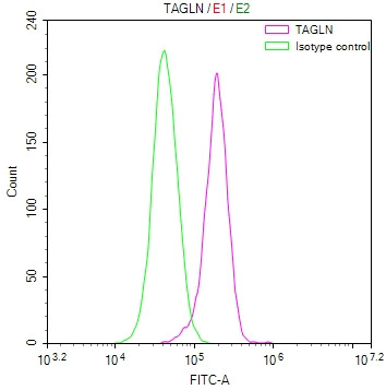 TAGLN Antibody in Flow Cytometry (Flow)