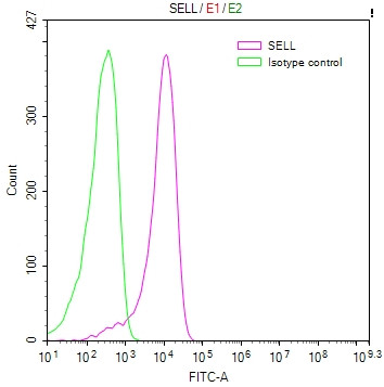 CD62L Antibody in Flow Cytometry (Flow)