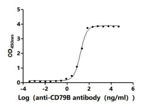 CD79b Antibody in ELISA (ELISA)