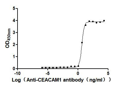 CEACAM1 Antibody in ELISA (ELISA)