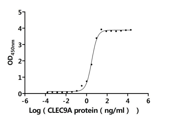CLEC9A Antibody in ELISA (ELISA)