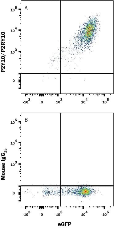 P2Y10 Antibody in Flow Cytometry (Flow)