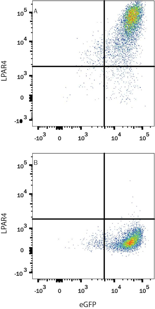 LPAR4 Antibody in Flow Cytometry (Flow)