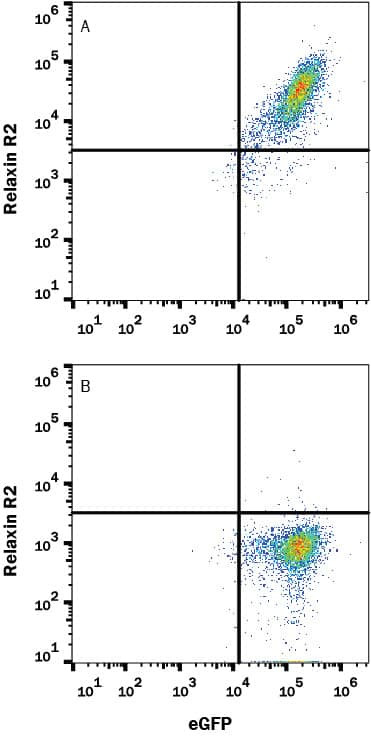 RXFP2 Antibody in Flow Cytometry (Flow)
