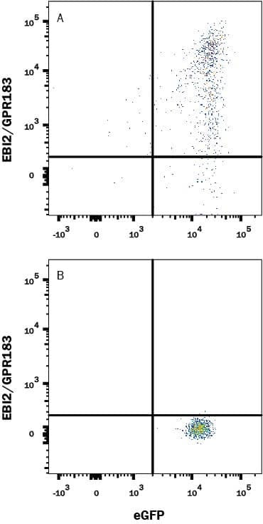 GPR183 Antibody in Flow Cytometry (Flow)