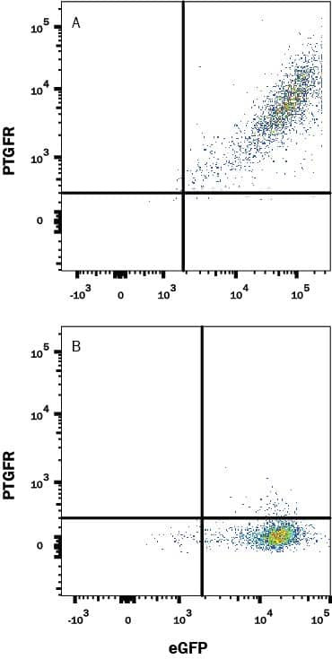PTGFR Antibody in Flow Cytometry (Flow)