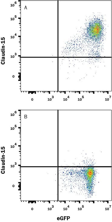 Claudin 15 Antibody in Flow Cytometry (Flow)