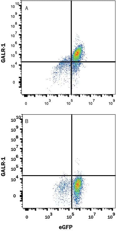 GALR1 Antibody in Flow Cytometry (Flow)