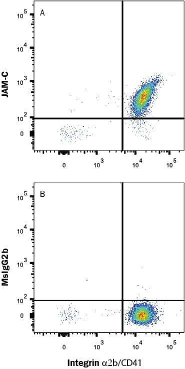 JAM3 Antibody in Flow Cytometry (Flow)