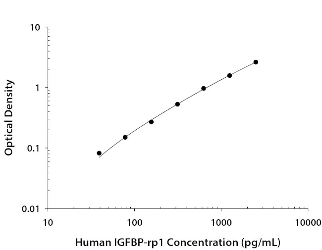 IGFBP7 Antibody in ELISA (ELISA)