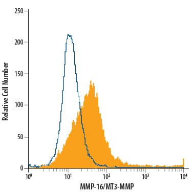 MMP16 Antibody in Flow Cytometry (Flow)