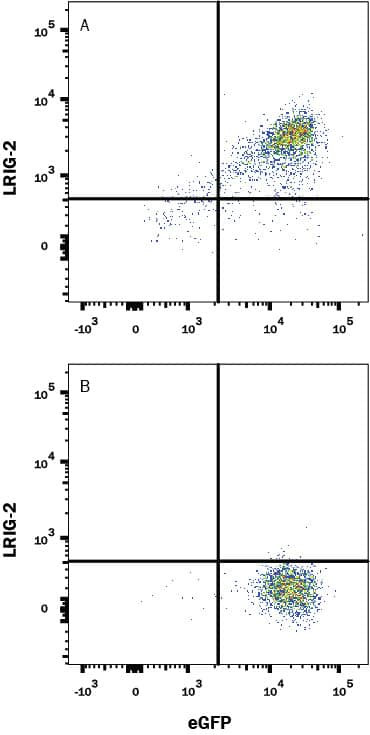 LRIG2 Antibody in Flow Cytometry (Flow)