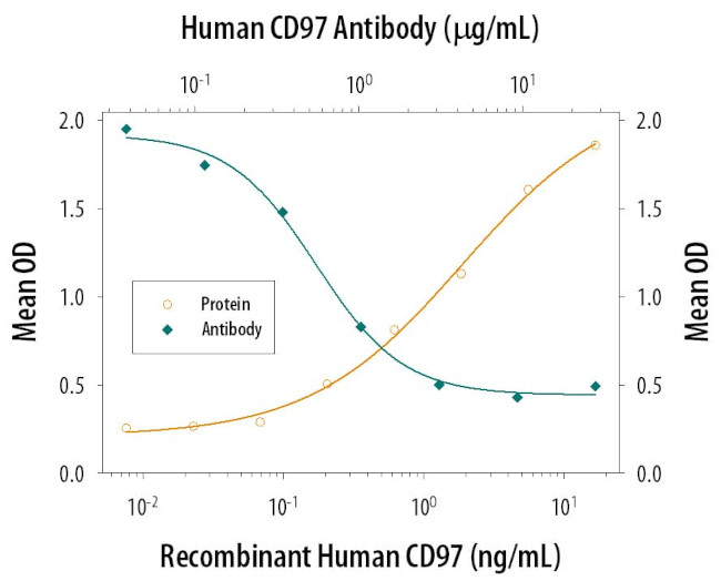 CD97 Antibody in Neutralization (Neu)