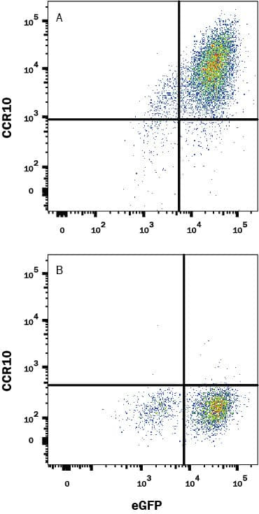 CCR10 Antibody in Flow Cytometry (Flow)