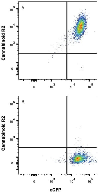 CNR2 Antibody in Flow Cytometry (Flow)