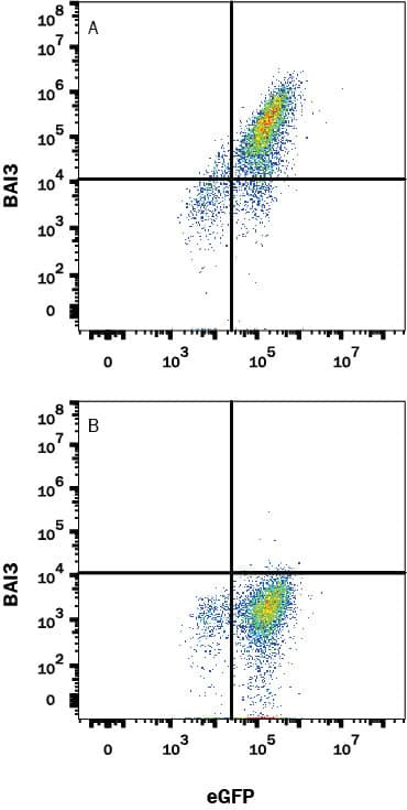 BAI3 Antibody in Flow Cytometry (Flow)