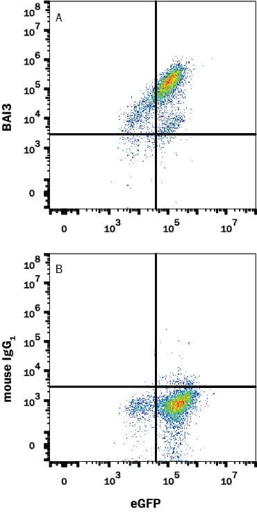 BAI3 Antibody in Flow Cytometry (Flow)