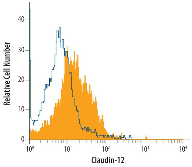 Claudin 12 Antibody in Flow Cytometry (Flow)