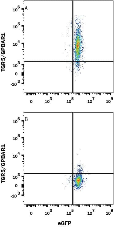 TGR5 Antibody in Flow Cytometry (Flow)