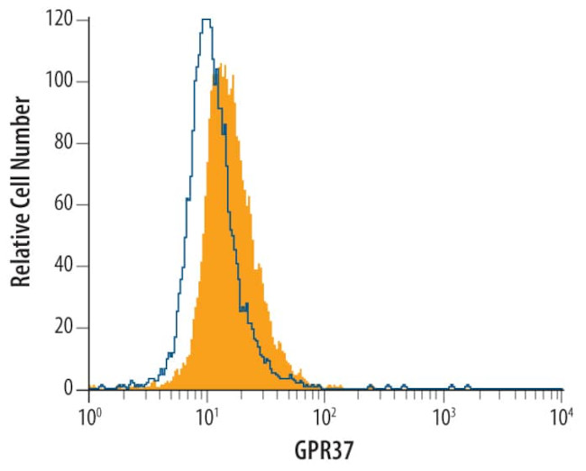 GPR37 Antibody in Flow Cytometry (Flow)