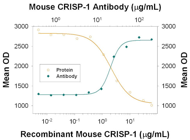 CRISP1 Antibody in Neutralization (Neu)