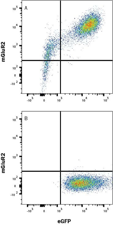mGluR2 Antibody in Flow Cytometry (Flow)