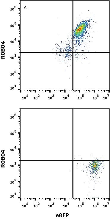 ROBO4 Antibody in Flow Cytometry (Flow)