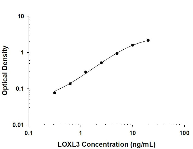 LOXL3 Antibody in ELISA (ELISA)