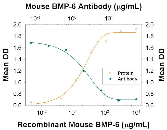 BMP-6 Antibody in Neutralization (Neu)