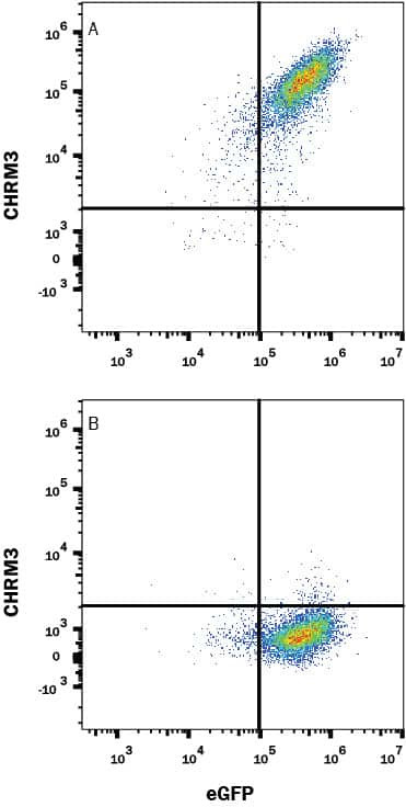CHRM3 Antibody in Flow Cytometry (Flow)
