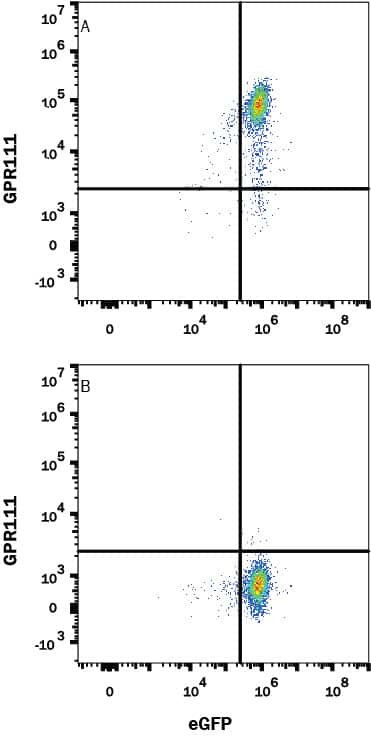 GPR111 Antibody in Flow Cytometry (Flow)