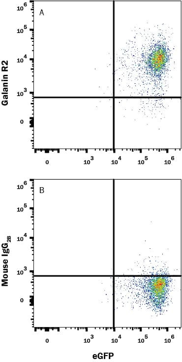 GALR2 Antibody in Flow Cytometry (Flow)