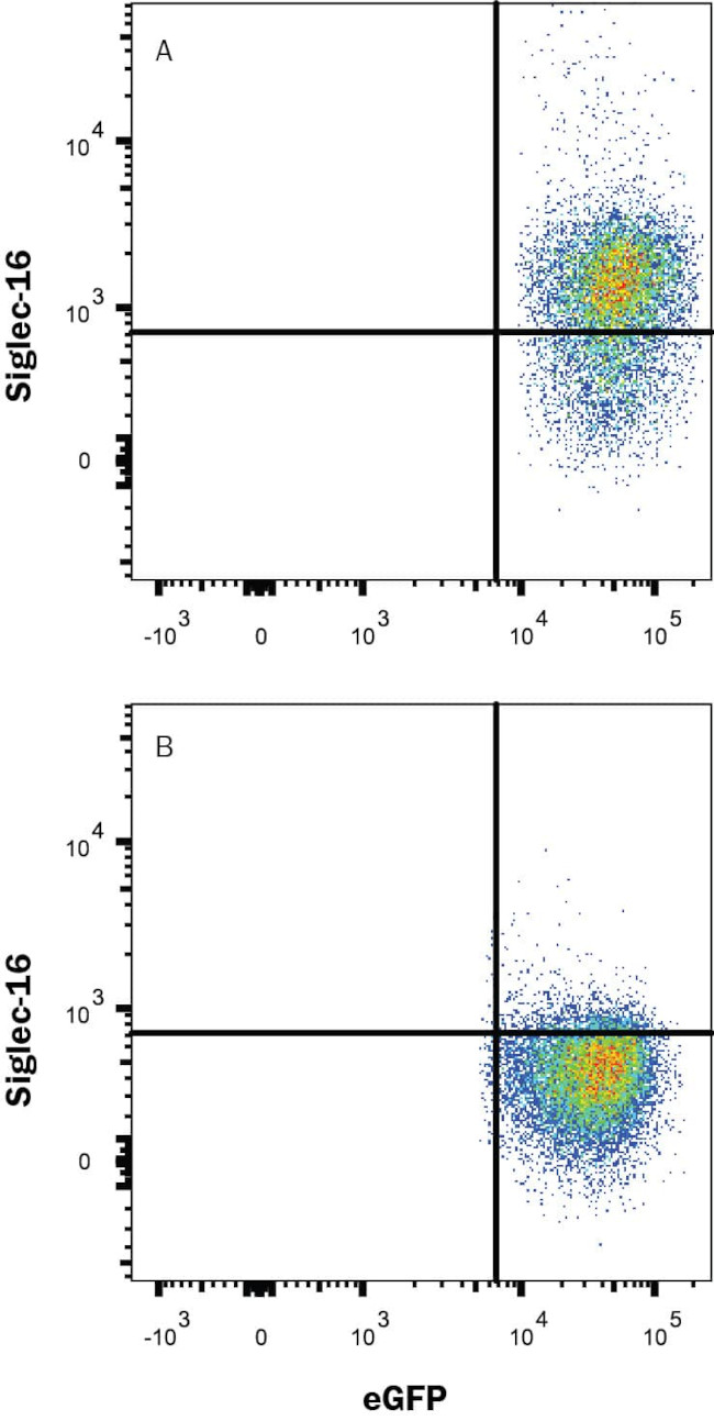 SIGLEC16 Antibody in Flow Cytometry (Flow)