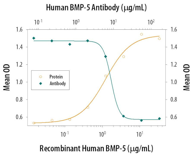 BMP5 Antibody in Neutralization (Neu)